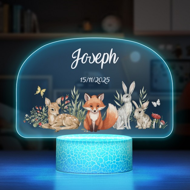 Lampe LED 3D avec impression animaux pour un petit garçon  