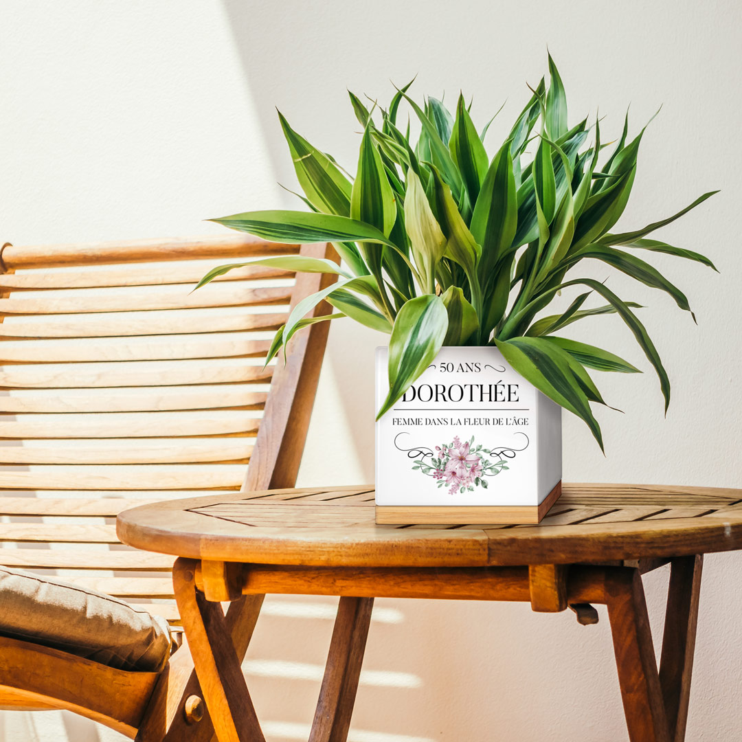 Pot de fleurs en céramique avec impression