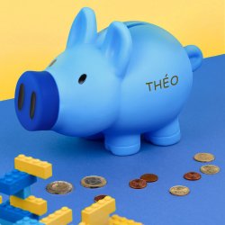 Tirelire bleue personnalisée pour l'anniversaire d'un neveu