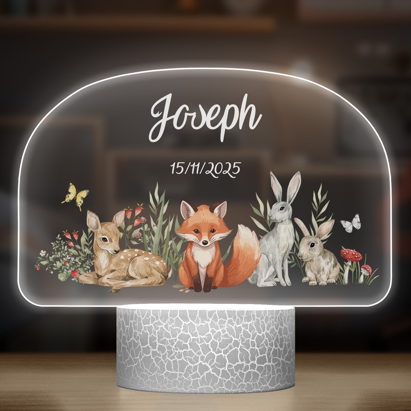 Lampe LED 3D avec impression animaux pour un petit garçon  